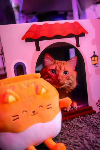 O-Saft Five - Kuscheltier